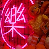 Dollyea的头像