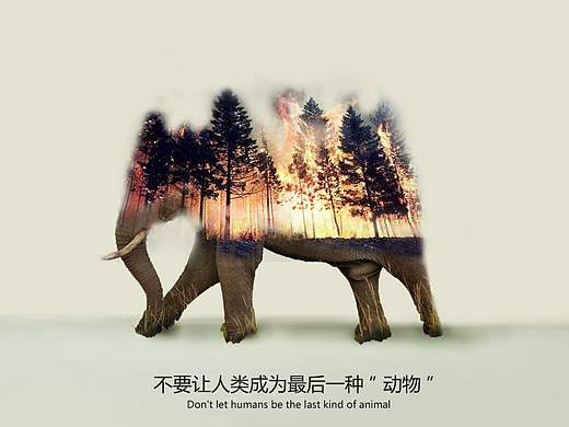 爱护动物公益广告