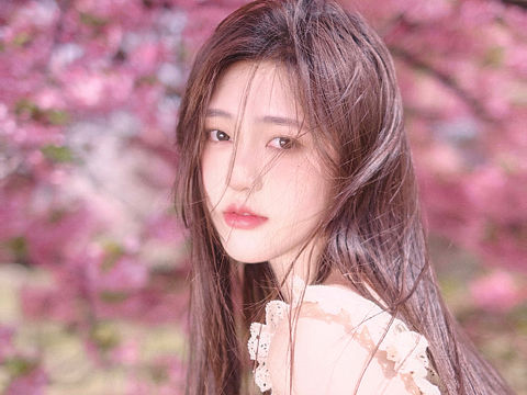 樱花写真 少女写真
