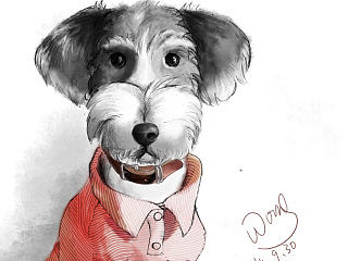 亲爱的花生妹妹snoopy（个人主页-ZNTI4MTMzNg==） - 创作习作 - 站酷设计师wons819原创素材 - 站酷ZCOOL