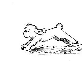 【每日一涂2.0】20160217（个人主页-ZMTUwMjAxNjg=） - 短篇/格漫 - 站酷设计师猩队长Seien原创素材 - 站酷ZCOOL