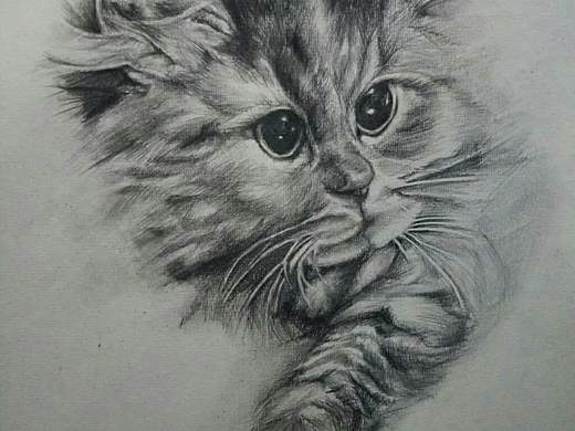 素描練習(xí)（個(gè)人主頁-ZMjQ1MjIzMzI=） - 繪畫 - 站酷設(shè)計(jì)師說演家原創(chuàng)素材 - 站酷ZCOOL