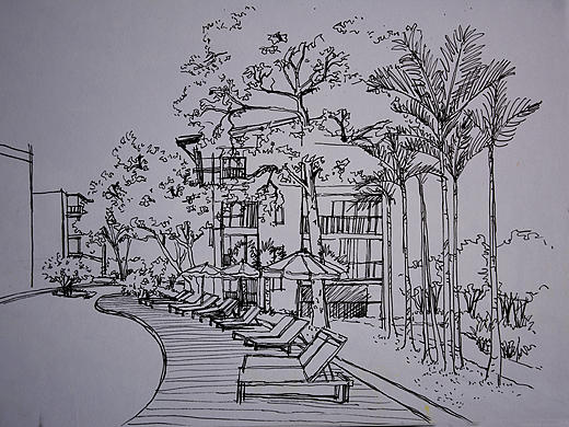 钢笔手绘（个人主页-ZMjAzNTMwNDQ=） - 创作习作 - 站酷设计师怪怪邱原创素材 - 站酷ZCOOL