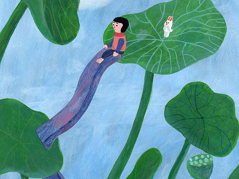 二十四节气-夏至