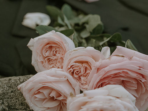 花期（个人主页-ZMjc3MzY5MDg=） - 产品摄影 - 站酷设计师爱拍照的熊原创素材 - 站酷ZCOOL