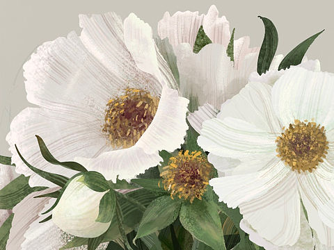 procreate的第二张