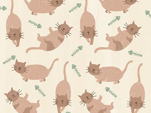 猫