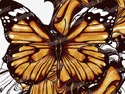 butterfly