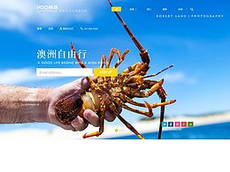 网页设计