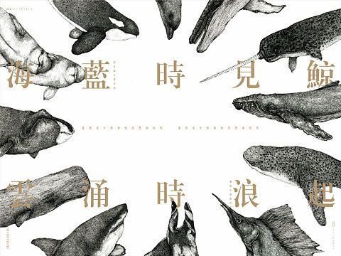 洄游鲸梦—丝巾系列