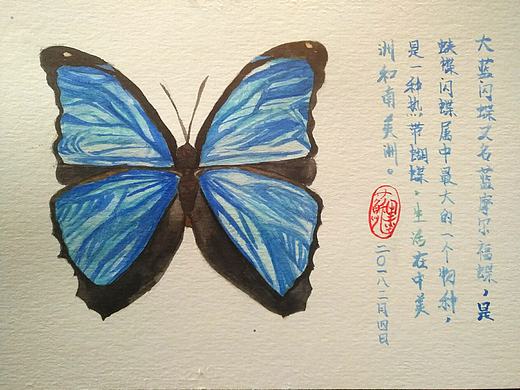 大蓝闪蝶（个人主页-ZMjYwNjI3MDQ=） - 绘画 - 站酷设计师Lucienfel原创素材 - 站酷ZCOOL