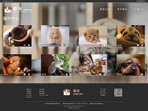 《爱宠》网页版--图片中心