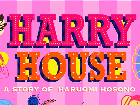 Harry House细野画报