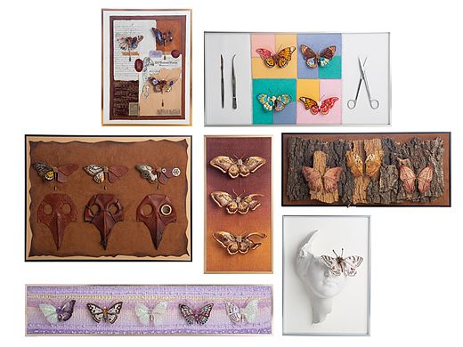 #2021青春答卷＃四川美术学院《social butterfly7》