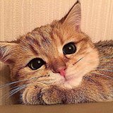 mabingqian的头像