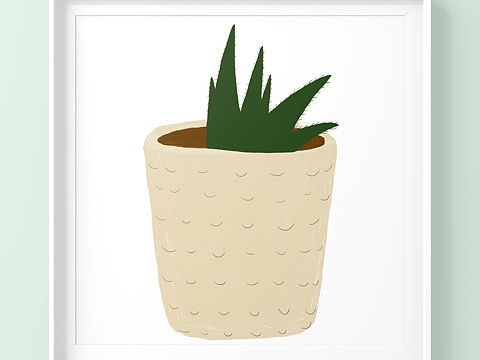 来自姑姑送的小绿植