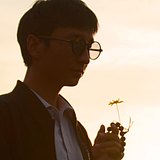 爱吃牛肉的羊的头像