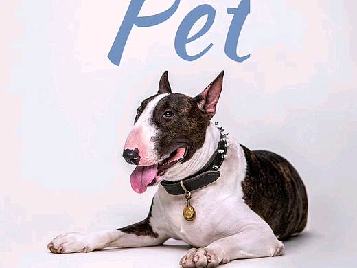 [捂脸][捂脸]这低调的撞脸！