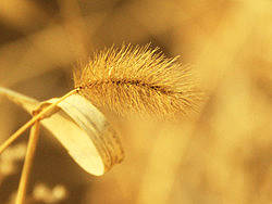 春天游（个人主页-ZMTk2NTY2MA==） - 风光摄影 - 站酷设计师lixiangpeng1122原创素材 - 站酷ZCOOL