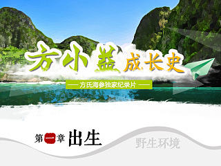 故事版 海参详情