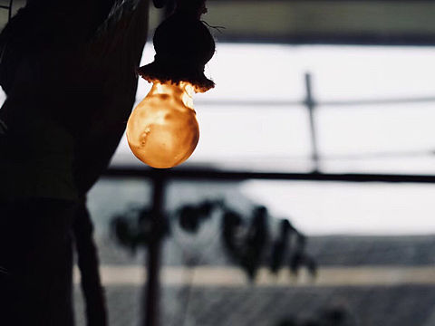 bulb