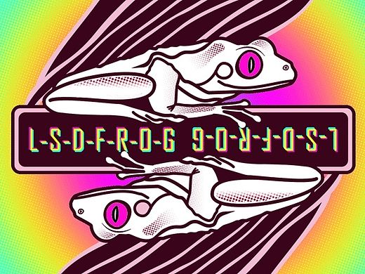 迷幻蛙 L-S-D Frog （GIF）