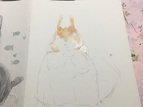 松鼠色彩（个人主页-ZMjEwMTkxOTI=） - 创作习作 - 站酷设计师海鸟酱原创素材 - 站酷ZCOOL