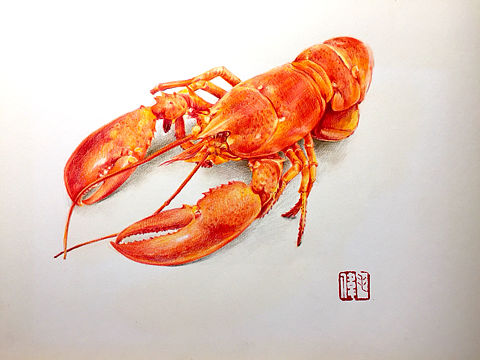 彩铅小龙虾