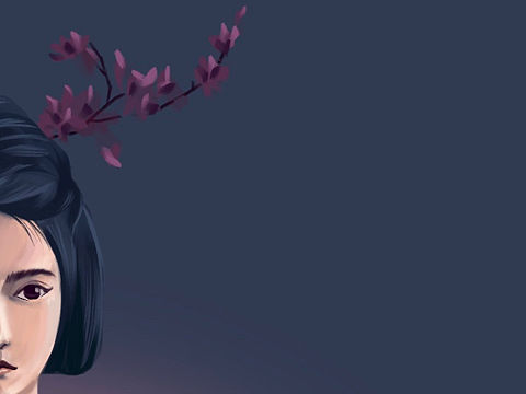 云破月来花弄影