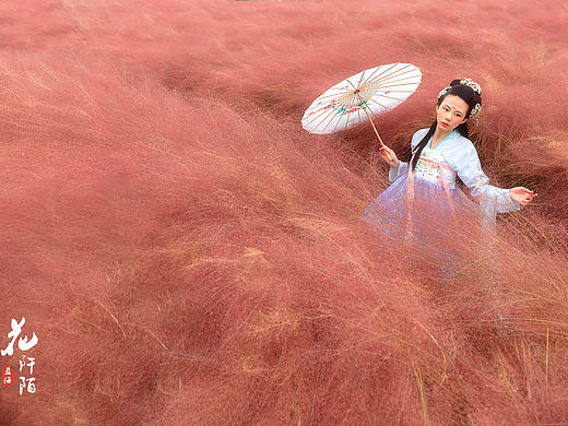 花阡陌