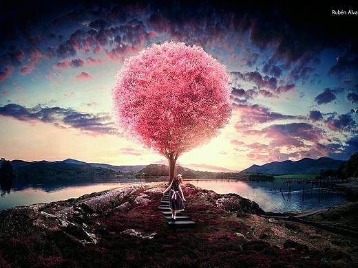 ADOBE软件登入界面，有你正在使用的嘛？有你喜欢的嘛？（部分是其他艺术家作品）