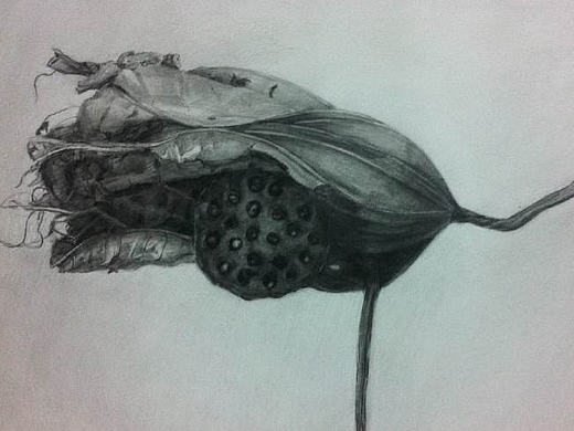 静（个人主页-ZMTk4MzMzODA=） - 绘画 - 站酷设计师Rene520原创素材 - 站酷ZCOOL