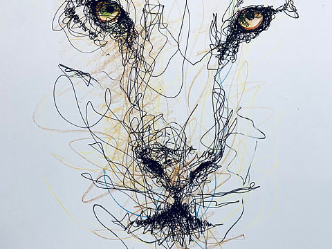 老虎的眼神（个人主页-ZNTk0MTczMDA=） - 绘画 - 站酷设计师破画画儿的原创素材 - 站酷ZCOOL