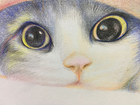 一生所爱---猫咪系列之三