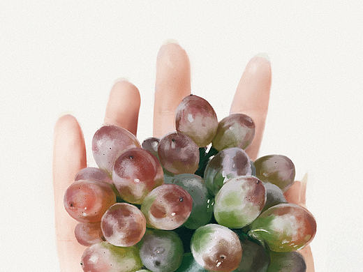 手繪 | Vitis vinifera L（個(gè)人主頁-ZMTgzNDM0NjQ=） - 創(chuàng)作習(xí)作 - 站酷設(shè)計(jì)師Lepzig原創(chuàng)素材 - 站酷ZCOOL