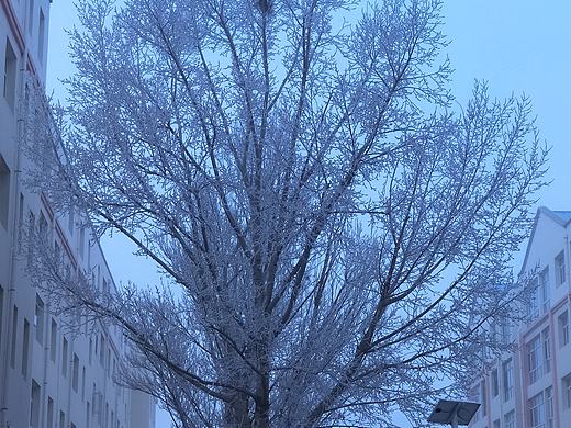 ??（個人主頁-ZNDI4ODg1MjQ=） - 其他攝影 - 站酷設(shè)計師ALL419原創(chuàng)素材 - 站酷ZCOOL