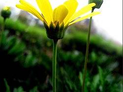 春之艳4（荣氏风尚原创）（个人主页-ZMTI3ODkwMA==） - 风光摄影 - 站酷设计师摩摩超人原创素材 - 站酷ZCOOL