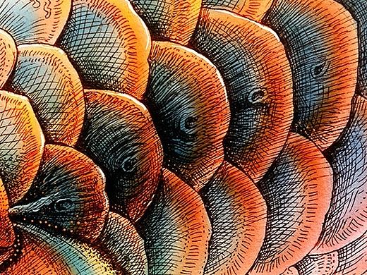 Rlon Wang 动物插画欣赏