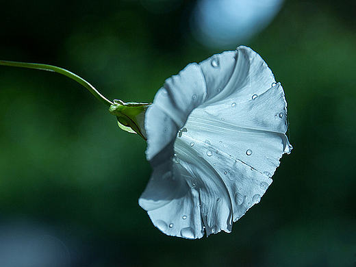 品牌故事（个人主页-ZMTY0Mjk0MzY=） - 电商 - 站酷设计师1597359795原创素材 - 站酷ZCOOL