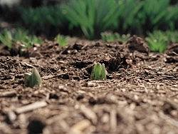 胶片生活（个人主页-ZMjExMTE2OA==） - 风光摄影 - 站酷设计师syouwa原创素材 - 站酷ZCOOL