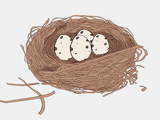 图书插图与封面