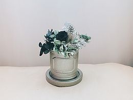 植物手作
