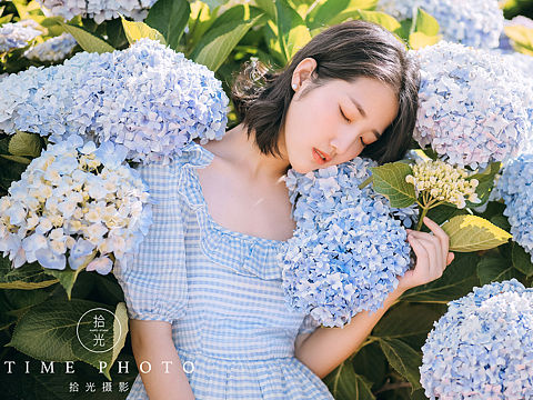 南国花园里的无尽夏