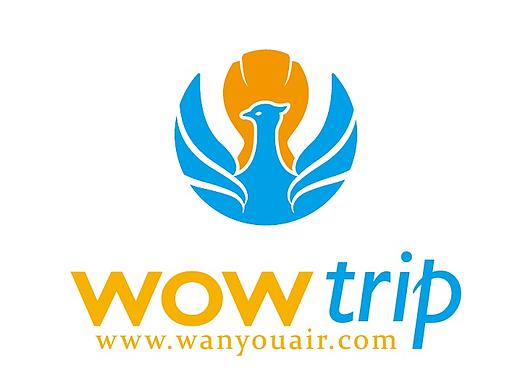 一个航空旅游公司logo