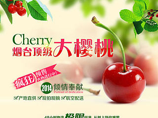 淘宝水果钻展专题页 北国春果第一枝 山东大樱桃专题页