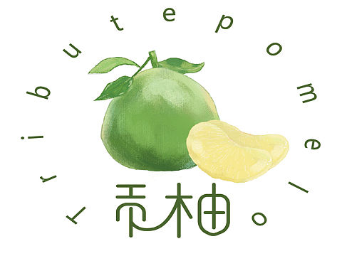 水果柚子标志设计
