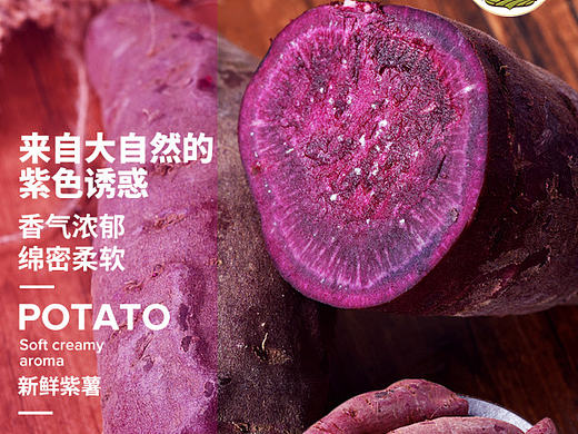 一款紫薯