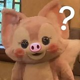 angpapasi的头像