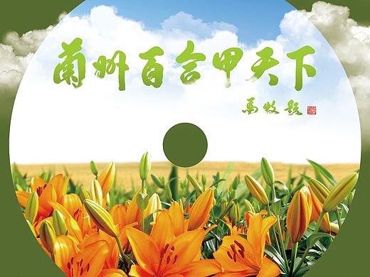 CD设计光盘设计百合光盘设计百合CD方面设计鬼谷子视觉专家