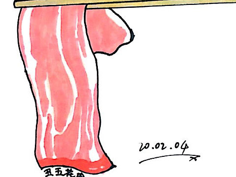 每日一画（个人主页-ZNDI1MjgxMjg=） - 艺术插画 - 站酷设计师老七Q原创素材 - 站酷ZCOOL